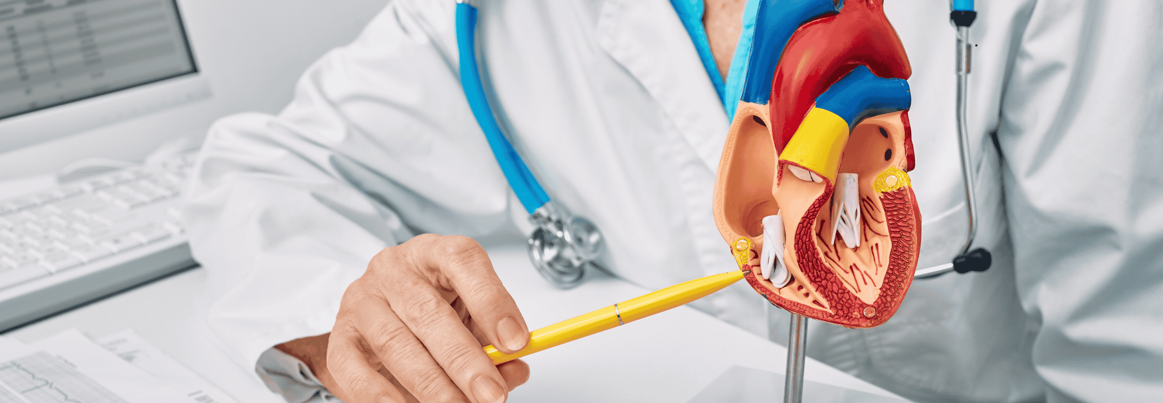Non Invasive Cardiac Explorations
